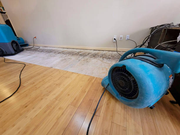 Reliable Basement Flood Cleanup contractor in Corsicana, TX by Hirex Water Damage