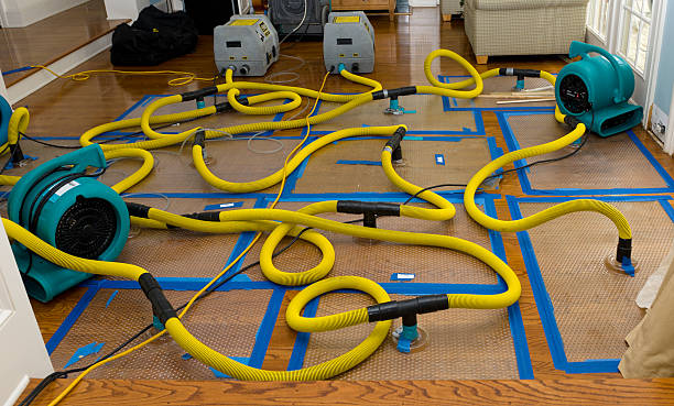Professional Basement Flood Cleanup technician working in Corsicana, TX